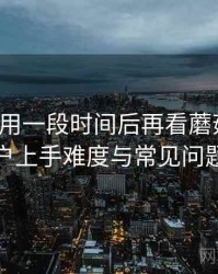 连续使用一段时间后再看蘑菇网站：新用户上手难度与常见问题整理
