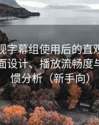 人人影视字幕组使用后的直观印象整理：界面设计、播放流畅度与操作习惯分析（新手向）