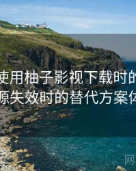 第一次使用柚子影视下载时的真实感受：资源失效时的替代方案体验记录