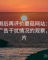 多次使用后再评价蘑菇网站：播放稳定性与广告干扰情况的观察，蘑菇网片