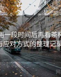 连续使用一段时间后再看茶杯狐：常见问题与应对方式的整理记录（实测）