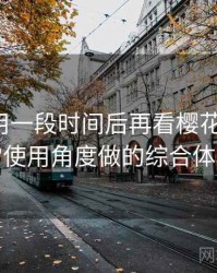 连续使用一段时间后再看樱花影院网：从日常使用角度做的综合体验总结