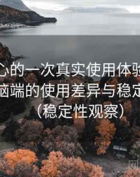 天美糖心的一次真实使用体验：在手机与电脑端的使用差异与稳定性表现（稳定性观察）