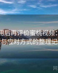 多次使用后再评价蜜桃视频：常见问题与应对方式的整理记录