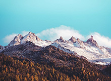 人人影视免费在线观看到底适不适合长期用？长期使用后的可靠性与便利性分析（新手向）