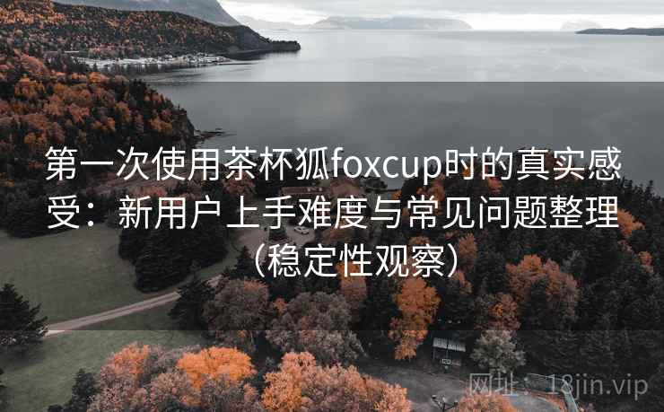 第一次使用茶杯狐foxcup时的真实感受：新用户上手难度与常见问题整理（稳定性观察）
