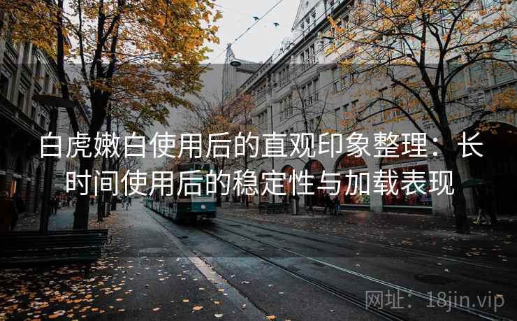 白虎嫩白使用后的直观印象整理：长时间使用后的稳定性与加载表现
