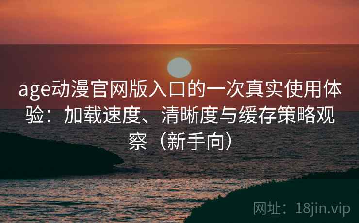 age动漫官网版入口的一次真实使用体验：加载速度、清晰度与缓存策略观察（新手向）