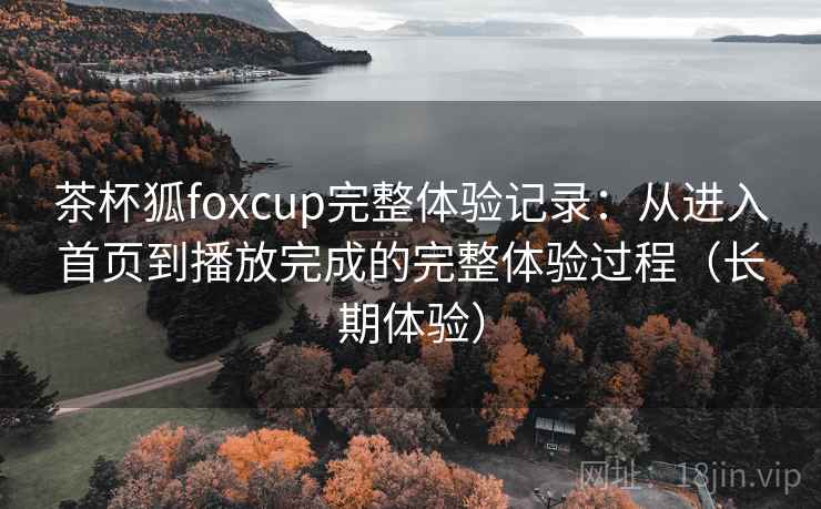 茶杯狐foxcup完整体验记录：从进入首页到播放完成的完整体验过程（长期体验）