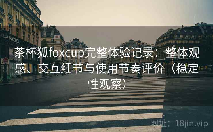 茶杯狐foxcup完整体验记录：整体观感、交互细节与使用节奏评价（稳定性观察）