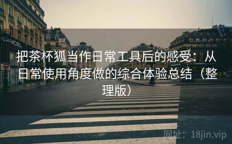 把茶杯狐当作日常工具后的感受：从日常使用角度做的综合体验总结（整理版）