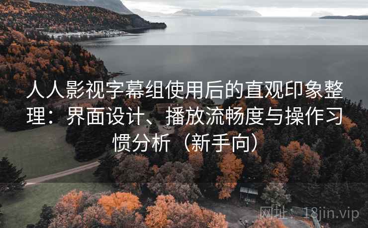 人人影视字幕组使用后的直观印象整理：界面设计、播放流畅度与操作习惯分析（新手向）